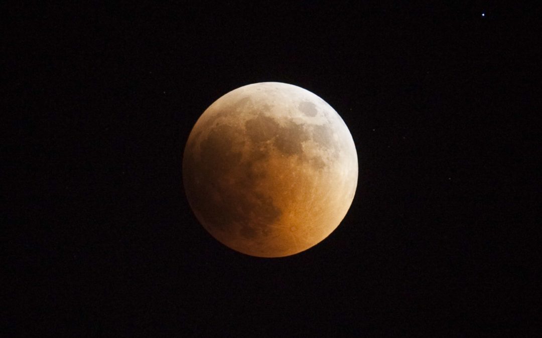 Notte di meditazione 2018 – letture